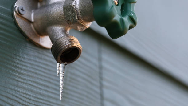 Best 24-Hour Plumber Near Me  in Orange Blossom, CA